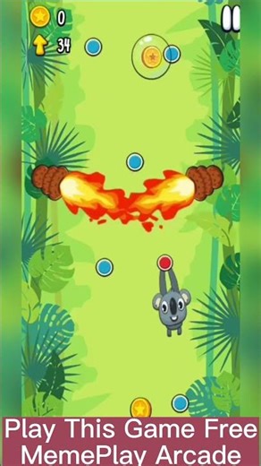 I Tried the Hardest Koala Game Ever!