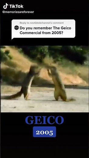 Geico Squirrel Commercial (2005)