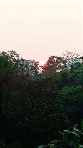 কোন তিন জিনিসের দিকে তাকালেই সওয়াব #ইসলামিক_ভিডিও #ভিডিওটি_ভালো_লাগলে_চ্যানেলটি_সাবস্ক্রাইব_করবেন