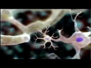 Cell Video Lecture - Class 9