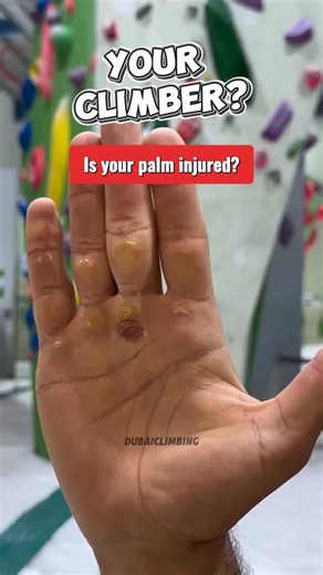 climbing Dubai on Instagram: "If you want to improve in climbing, don’t just train harder — train smarter. 🧠🔥 🎯 Smart and focused training helps you progress faster, build strength safely, and stay injury-free. 💪✨ ✅ I’m Setayesh, the Asian climbing champion with over 25 years of athletic and championship experience, and the only specialized climbing coach in the UAE. 🟥👉🏻 If you’d like to improve your climbing skills and train more professionally, I’m a coach at the fully equipped Mountain