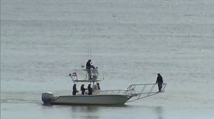 Officials on lookout for sharks after deadly Cape Cod attack