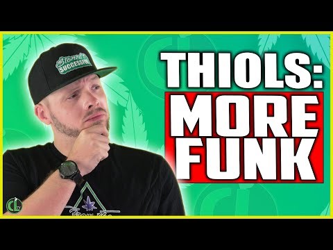 The Hidden Secret to Loud, Dank Bud – Most Growers Miss This!