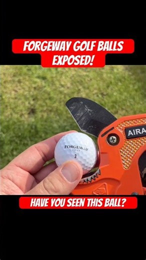 I’m gonna get SUED! Forgeway Exposed! ❌🏌️‍♂️