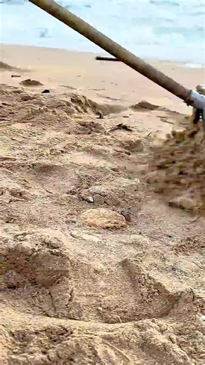 Beach Cleanup: Discovering a Hidden Diamond Ring