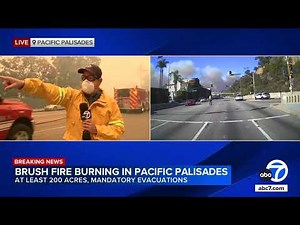 Palm trees burn along Sunset Boulevard as brush fire spreads through Pacific Palisades