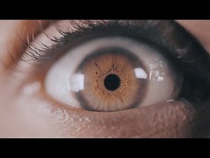 Visit Seattle | Dive Into .TV