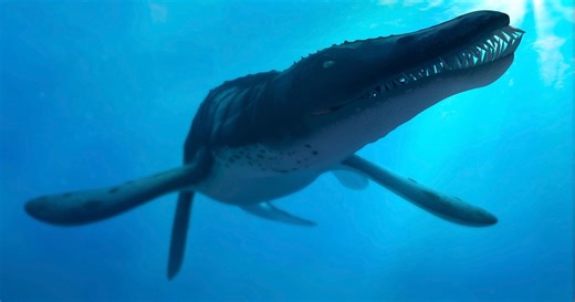 Ancient Sea Monster’s Massive Skull Found In Seaside Cliff, Stunning Paleontologists