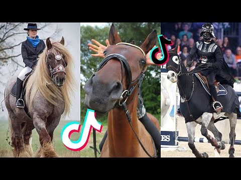 The Best HORSE - TikTok Compilation #50