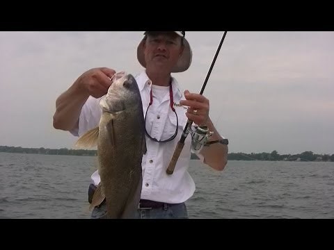 Jigging for Sheepshead - How to Jig for Freshwater Drum