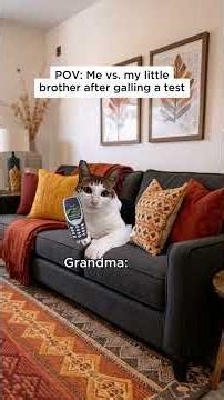 Cat meme 🐱 Me vs. my little brother after galling a test #catmemes #relatable #povcat