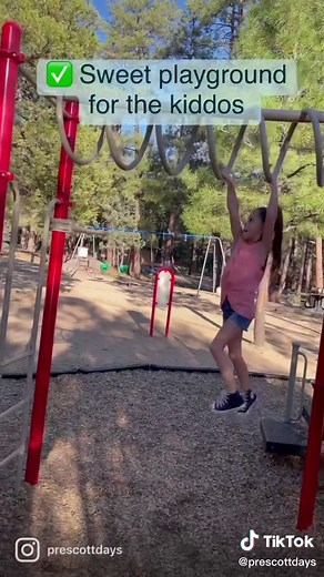 The Lyons Family-Prescott, AZ on TikTok