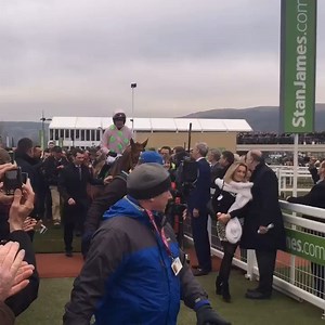 27K views · 465 reactions | A return to the winners' enclosure Ruby Walsh will never forget 朗 Where does Annie Power's 2016 Champion Hurdle win rank among your favourite Cheltenham Festival memories? #GreenTeam  | Horse Racing Ireland | Facebook