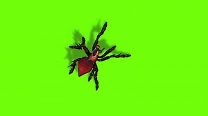 Download Spider Walk Animation for free