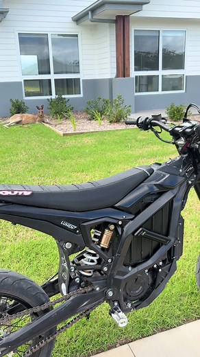 Tuff Guy Steals Keys and Drops Them in Drain