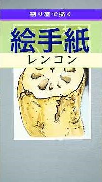 【絵手紙の書き方】割り箸で描く「レンコン」透明水彩絵の具で着色しました • Japanese art postcard