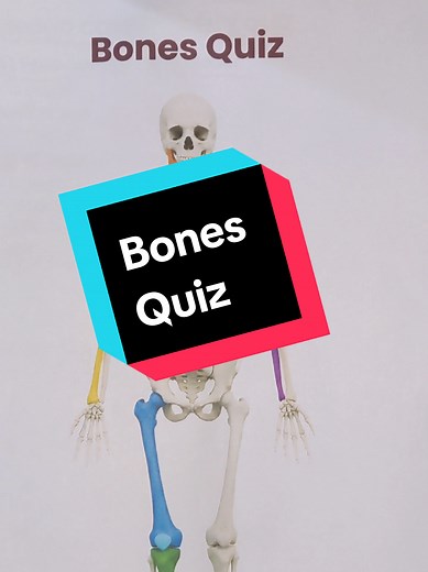 Bones Quiz: Can You Score 5/7?