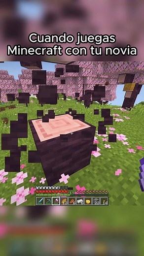 1.5M views · 46K reactions | Cuando juegas Minecraft con tu Novia | Laiwy | Facebook