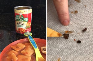 Mystery meat in Chef Boyardee ravioli may be ‘bugs’