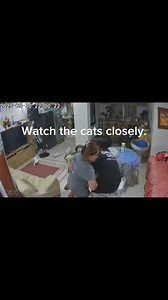 Update sa mga pusa 🤗 | Therese Base