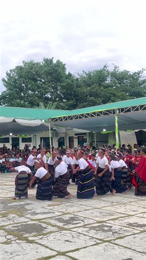 Sdk santa ursula ende 👏🏻 #fypシ゚viral #gawi #salambudaya #nusantara #nttpride🏝🔥