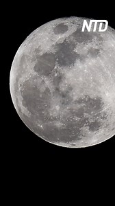 This month's Full Moon is called the Worm Moon. And it's extra special because it will be a total lunar eclipse. Next Friday, March 14, will be the first time in nearly three years that the lunar eclipse will be visible across the entire U.S. Unlike a total solar eclipse, this celestial event doesn't require special eyewear. | NTD Plus