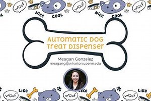 Automatic Dog Treat Dispenser