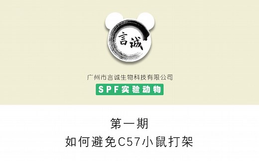 #小课堂# 第一期：如何避免C57小鼠打架