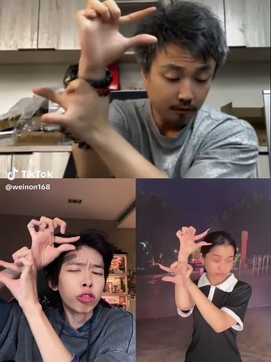 鳥兒搖挑戰 - 發現最偉大的太極舞蹈