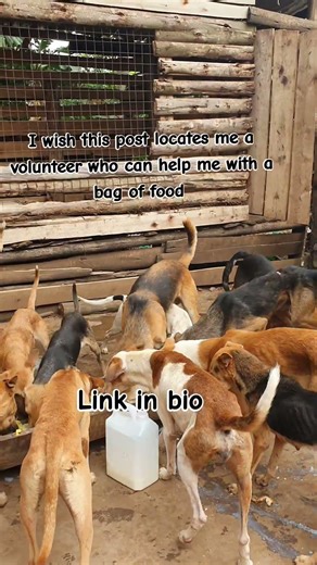Every bag of food gives a second life #DogLovers #DonateNow #dogfood #PayPal
