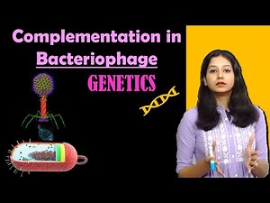 Complementation in Bacteriophage I Genetics I Inheritance Biology I