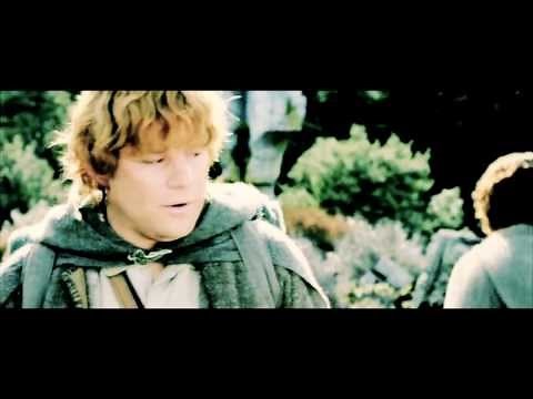 [LOTR] The Hobbits (Frodo,Sam,Merry and Pippin)