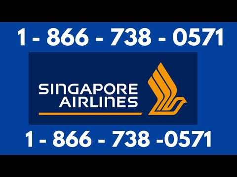 Official Guide Singapore Airlines® Customer Service | Step-by-Step Guide to Get Help Anytime