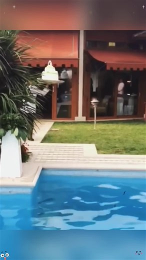 Weeding cake falls down reaction🫣❤️ #respect #wedding #shorts #USA | cake