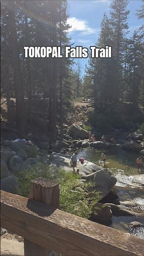 Hike on The Most Gorgeous trail in Sequoia National Park! 🌲