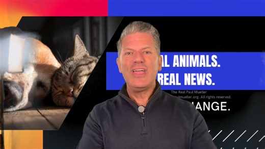 6.9K views · 207 reactions | Please do NOT - Shoot The Messenger...