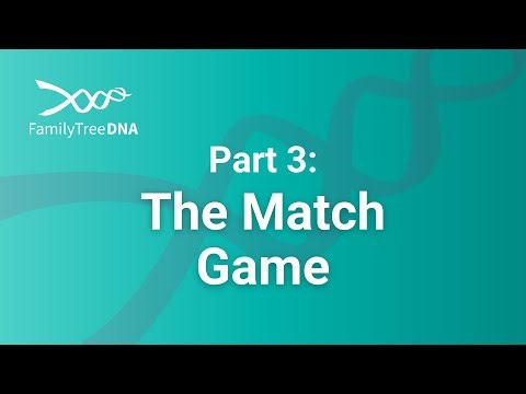 Tie-Breaker: Navigating Unexpected Results and Untangling Complex Relationships