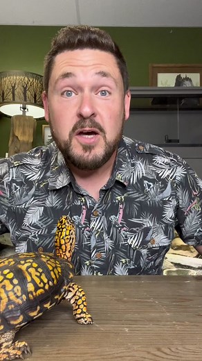 GardenStateTortoise on TikTok