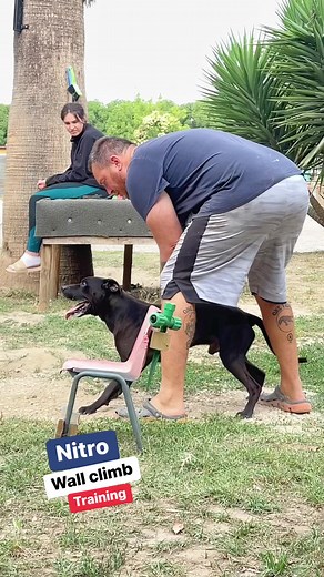 153K views · 4.4K reactions | Nitro. Training on the wall this...