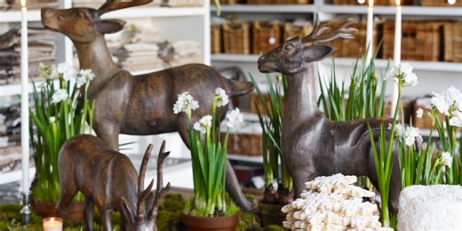 These 21 Christmas Flowers and Plants Will Help Make Spirits Bright