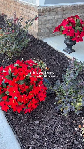 I love how easy these poinsettia topiary trees make decorating for Christmas. Each one comes with a ground spike, so you can pop them right into your yard or a planter. The flowers look super realistic—bright red with deep green leaves—and they’re UV-protected, so they won’t fade or wilt. They’ve stayed gorgeous through wind, rain, and cold. Instant holiday charm with zero effort. | TwinkleHalo | Facebook