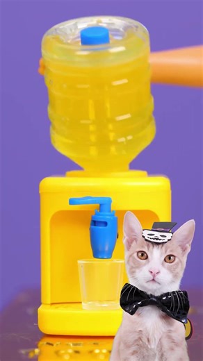 Gazing at This Adorable Gadget 😻💖