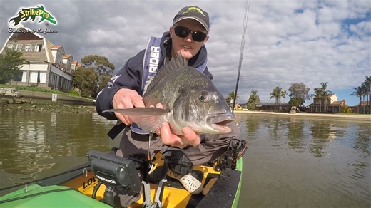 The Strike Pro Cyber Vibe has become a favourite of the aussie angler. The Cyber Vibe 35 & 40 offer 3 top tow point and 2 rear tow points that gives the lure up to 6 different actions. This lure is highly effective on Bream, Mulloway, Flathead, Estuary Perch, Bass, Yellowbelly and Redfin. | Juro OzPro Tackle | Facebook