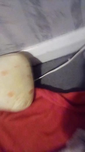 normal....maisy on TikTok