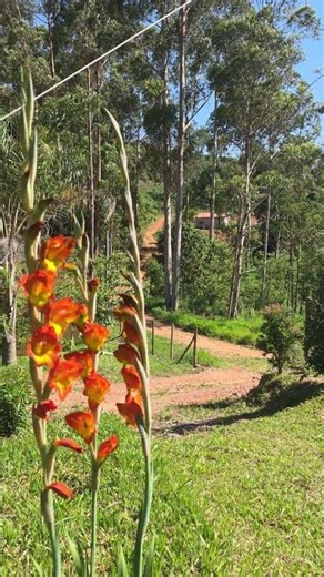 It's forbidden to wake up in a bad mood. #farm #countrywise