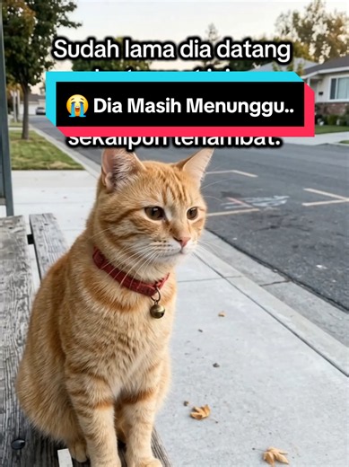 Kucing Oranye yang Setia Menunggu di Bangku Lama