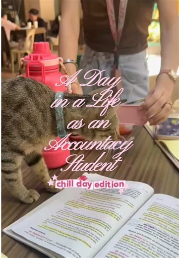 A Day in the Life of an Accountancy Student