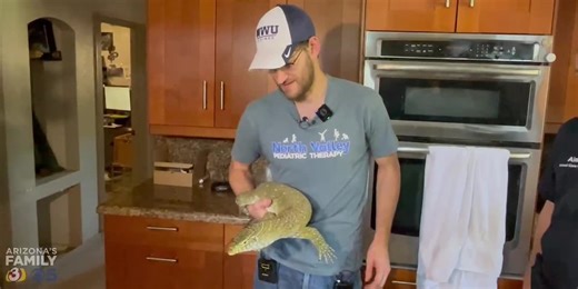 Lizard that was rescued off Phoenix freeway reunited with owner