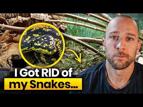 First Reptile Room Tour in New Space - Couldn't Keep Snakes