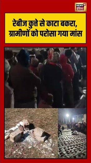 रेबीज कुत्ते से काटा बकरा, ग्रामीणों को परोसा गया मांस | #dogattack #rabbies #viralvideo #shorts